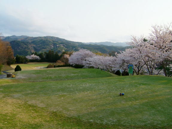 コース画像